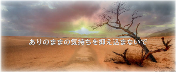 \tBAS瑊k